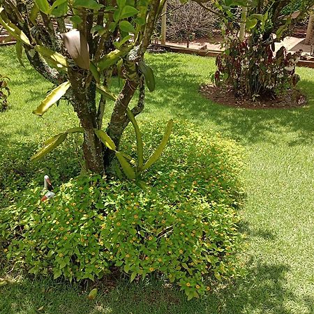 Pousada Chácara VIVALLI Holambra Esterno foto
