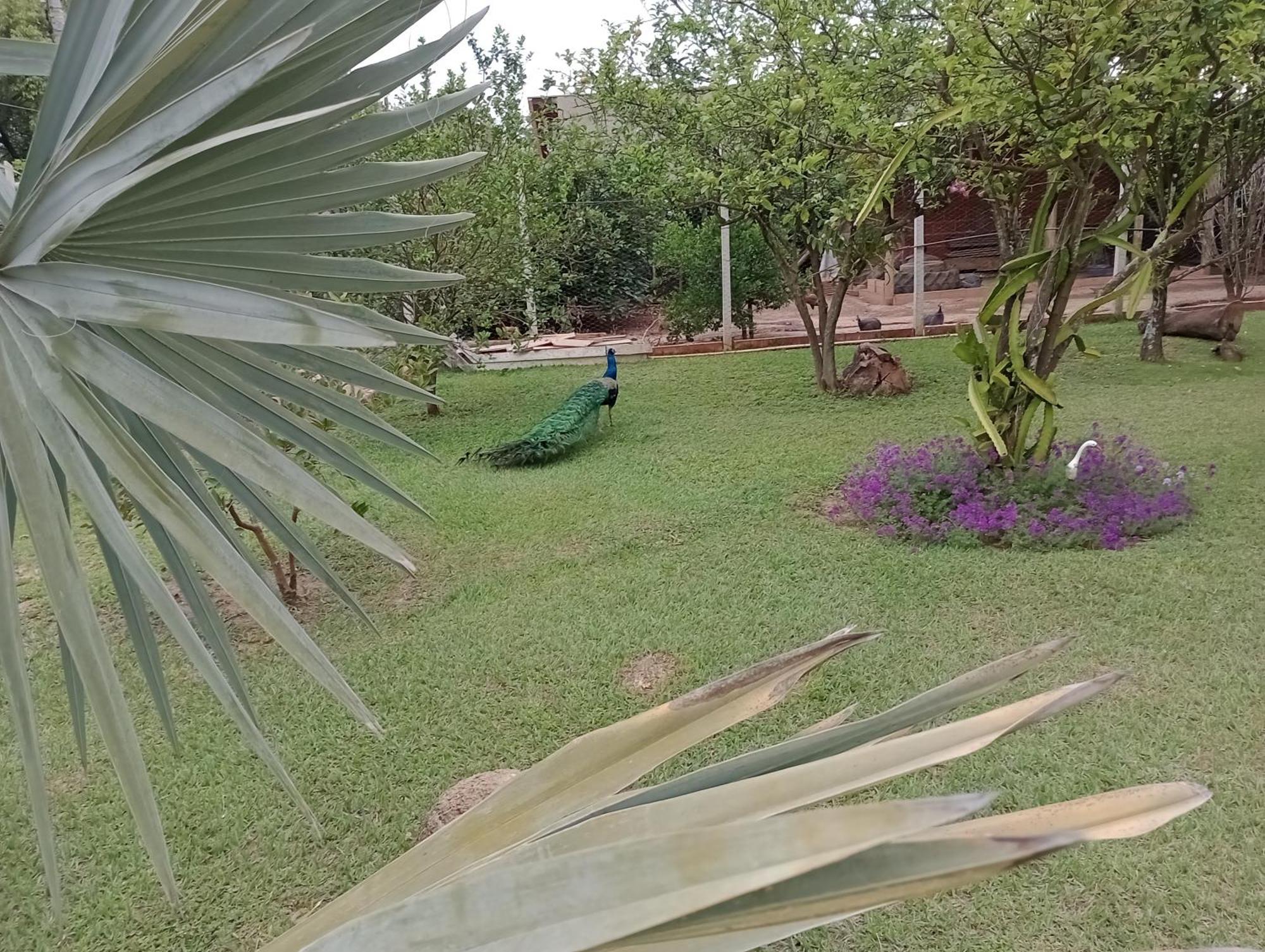 Pousada Chácara VIVALLI Holambra Esterno foto